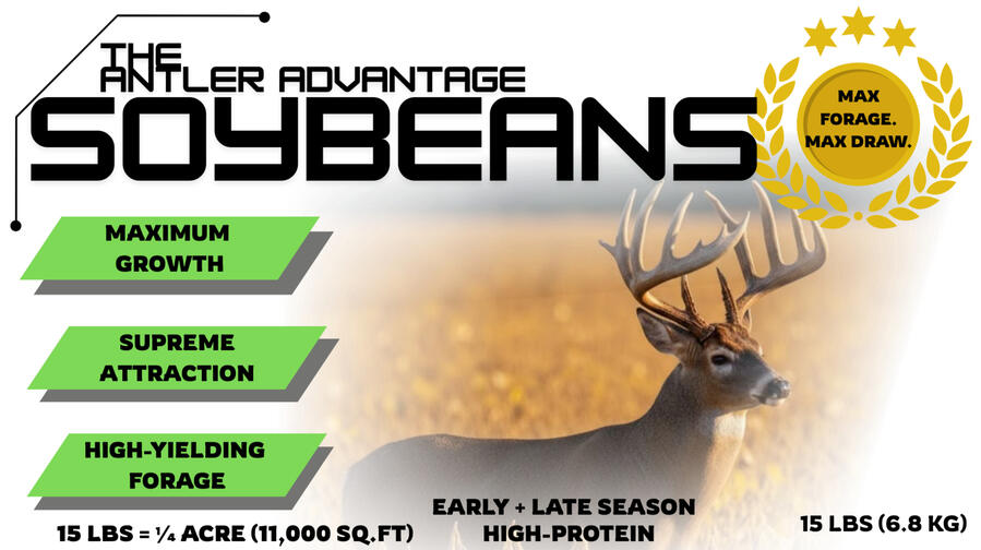 SOYBEANS