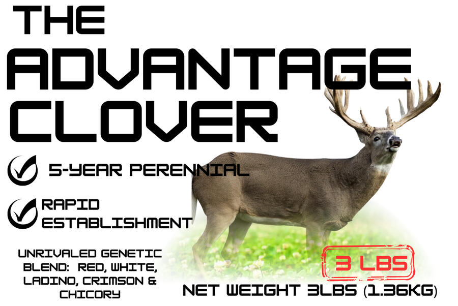ADVANTAGE CLOVER