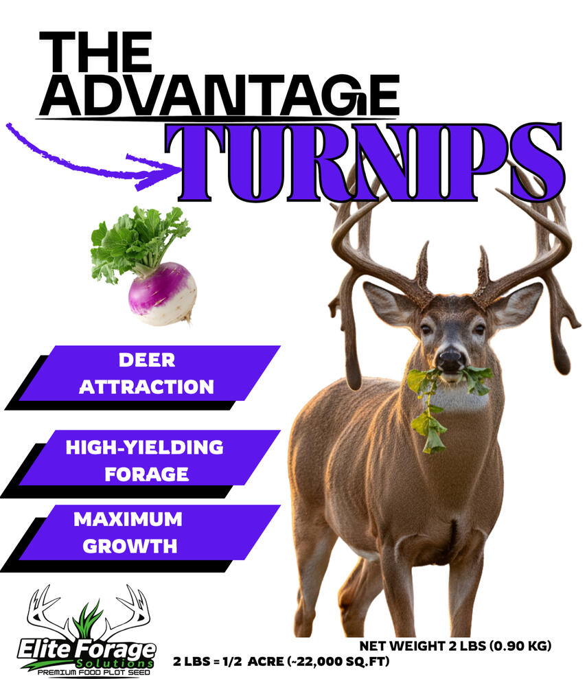 ADVANTAGE TURNIPS